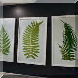 A10. Three framed fern prints from Wisteria. 38.5”h x 25”w 